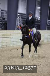 23R13_12577 thumbnail
