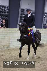 23R13_12578 thumbnail