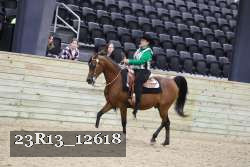 23R13_12618 thumbnail