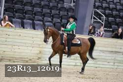 23R13_12619 thumbnail