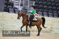 23R13_12620 thumbnail