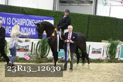 23R13_12630 thumbnail
