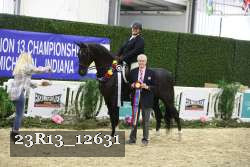 23R13_12631 thumbnail
