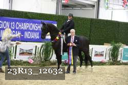 23R13_12632 thumbnail