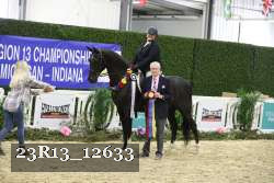 23R13_12633 thumbnail