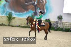 23R13_12636 thumbnail