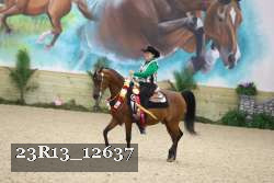 23R13_12637 thumbnail