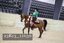 23R13_12639 thumbnail