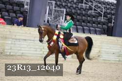 23R13_12640 thumbnail