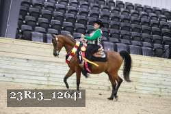 23R13_12641 thumbnail