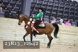 23R13_12642 thumbnail
