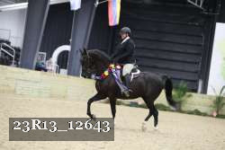 23R13_12643 thumbnail