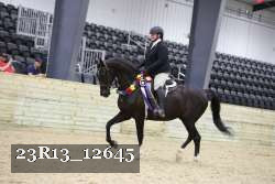 23R13_12645 thumbnail