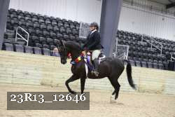 23R13_12646 thumbnail