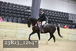 23R13_12647 thumbnail