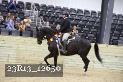 23R13_12650 thumbnail