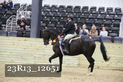 23R13_12651 thumbnail