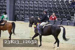 23R13_12652 thumbnail