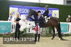 23R13_12728 thumbnail