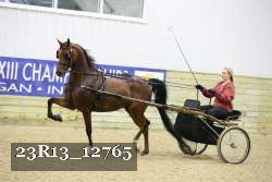 23R13_12765 thumbnail