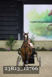 23R13_12766 thumbnail