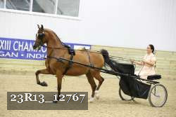 23R13_12767 thumbnail