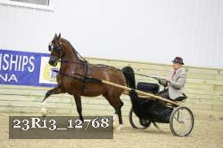 23R13_12768 thumbnail