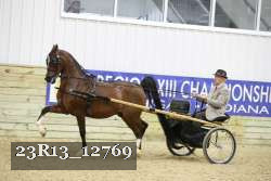 23R13_12769 thumbnail