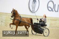 23R13_12771 thumbnail