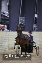 23R13_12772 thumbnail
