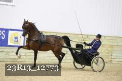 23R13_12773 thumbnail