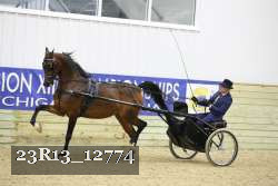 23R13_12774 thumbnail