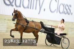 23R13_12775 thumbnail