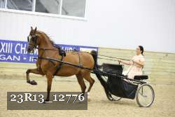 23R13_12776 thumbnail