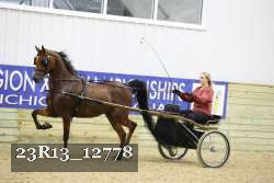 23R13_12778 thumbnail