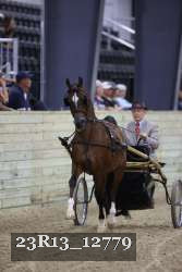 23R13_12779 thumbnail