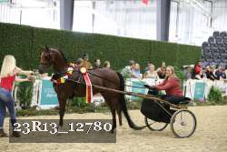 23R13_12780 thumbnail