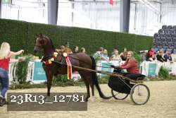 23R13_12781 thumbnail