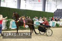 23R13_12782 thumbnail
