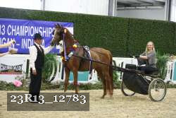 23R13_12783 thumbnail