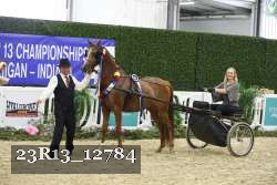23R13_12784 thumbnail