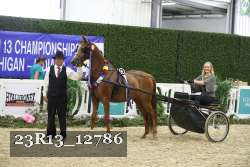 23R13_12786 thumbnail