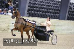 23R13_12787 thumbnail