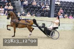 23R13_12790 thumbnail