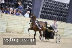 23R13_12791 thumbnail