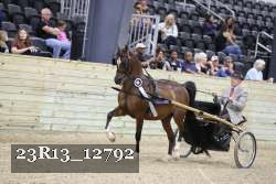 23R13_12792 thumbnail