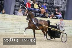 23R13_12793 thumbnail