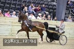 23R13_12794 thumbnail