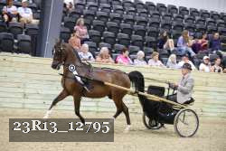 23R13_12795 thumbnail