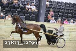 23R13_12796 thumbnail